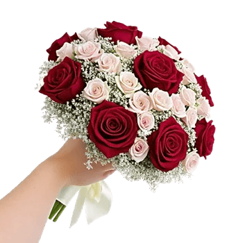 Crimson Rose Elegance