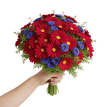 Coral Blossom Harmony