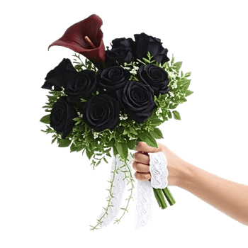 Elegant Calla Lilies