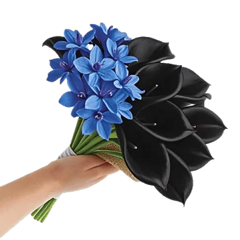 Elegant Calla Lilies