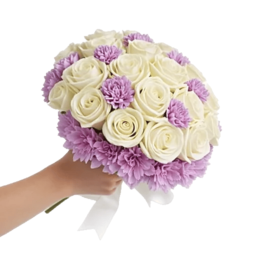 Pastel Pink Roses