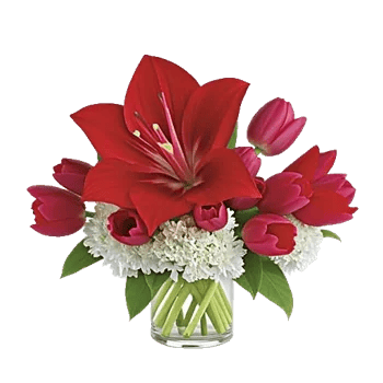 Crimson Lily Glow