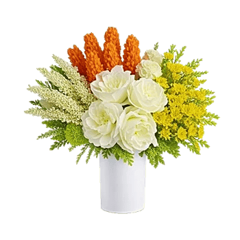 Petal Radiance Bliss