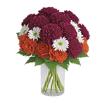 Petal Radiance Bliss
