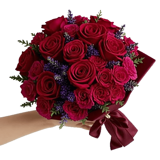 Crimson Rose Elegance