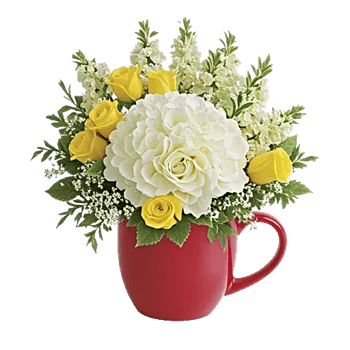 Serene Petal Harmony