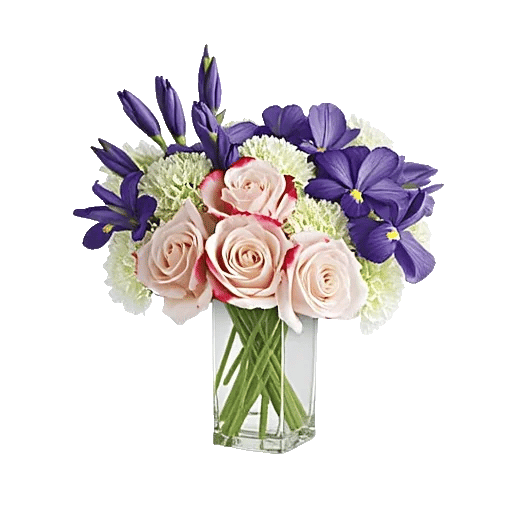 Ivory Blossom Radiance