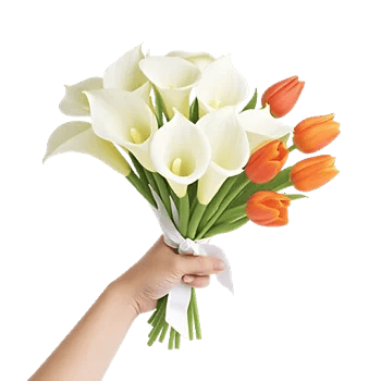 Elegant Calla Lilies