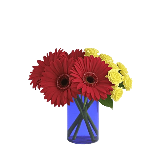 Petal Radiance Bliss