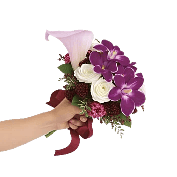 Elegant Calla Lilies
