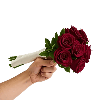 Crimson Rose Elegance