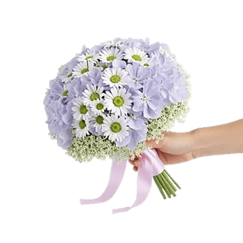 Serene Petal Harmony