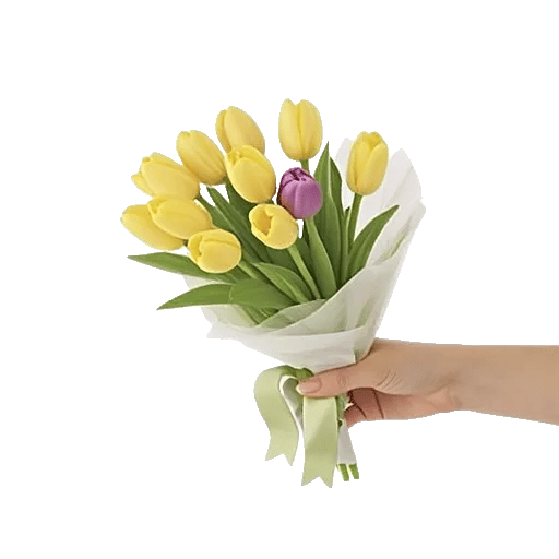 Velvet Tulip Display