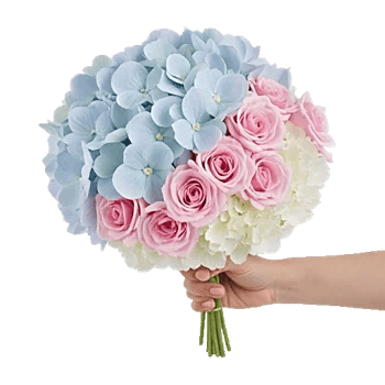 Serene Petal Harmony