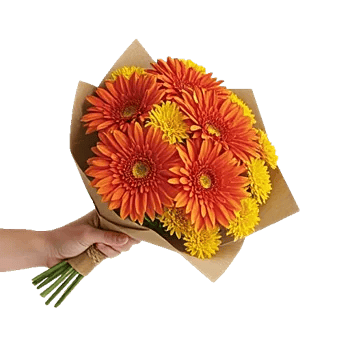 Petal Harmony Bliss