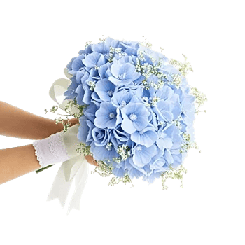 Serene Petal Harmony