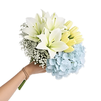 Blossom Harmony Display