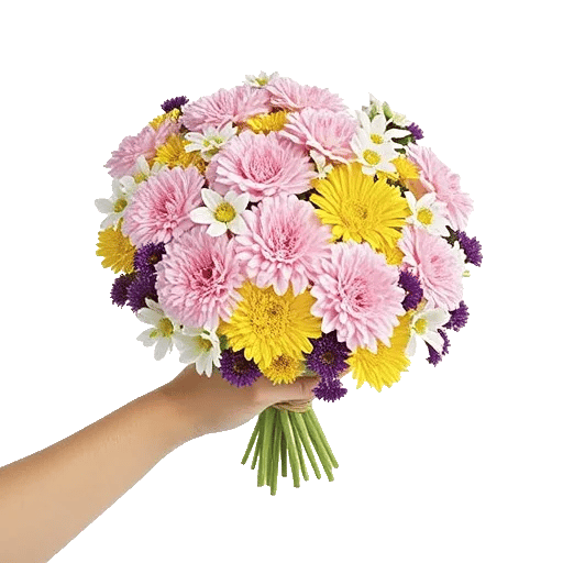 Pastel Pink Roses