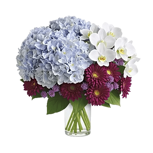 Ivory Blossom Radiance