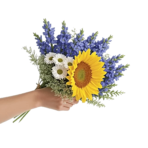 Twinkling Sunflower Dance