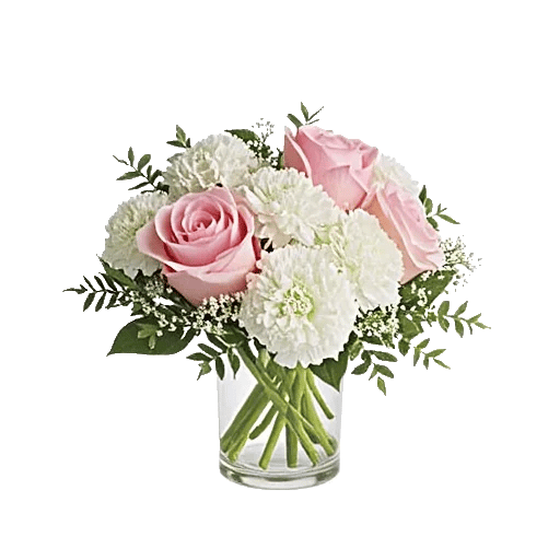 Blossom Radiant Whisper