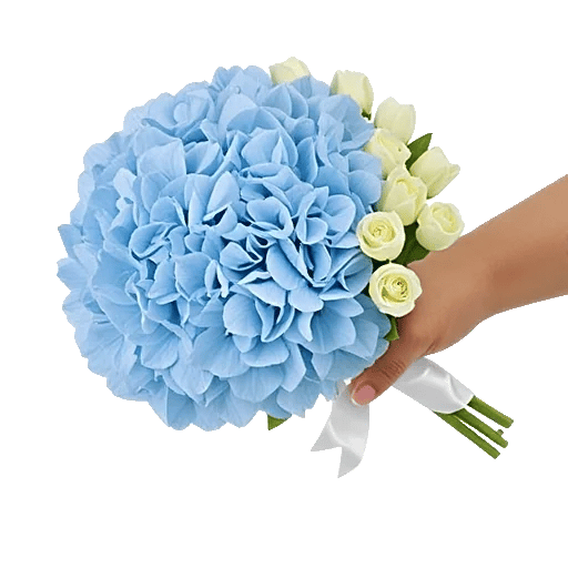 Serene Petal Harmony