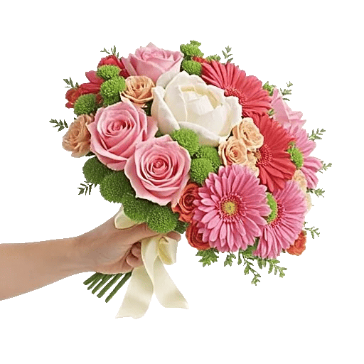 Blushing Rose Symphony