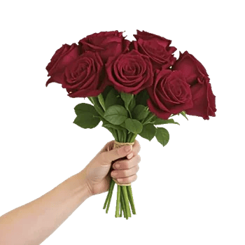 Crimson Rose Elegance