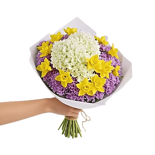 Blossom Harmony Display
