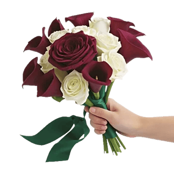 Blushing Rose Symphony