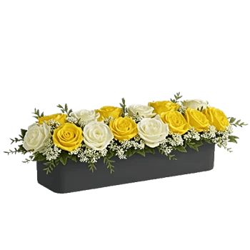 Radiant Rose Symphony