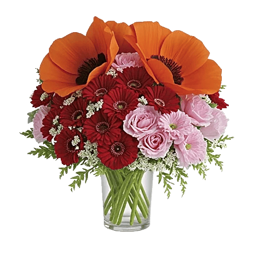 Petal Radiance Bliss