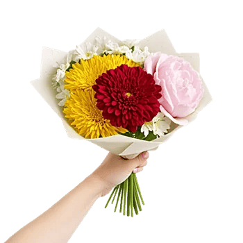 Crimson Rose Elegance