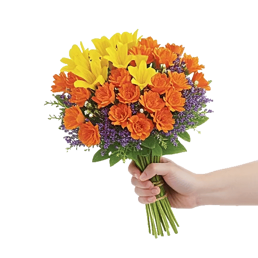 Delicate Petal Cascade