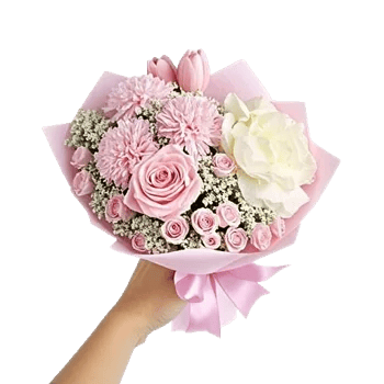 Pastel Pink Roses