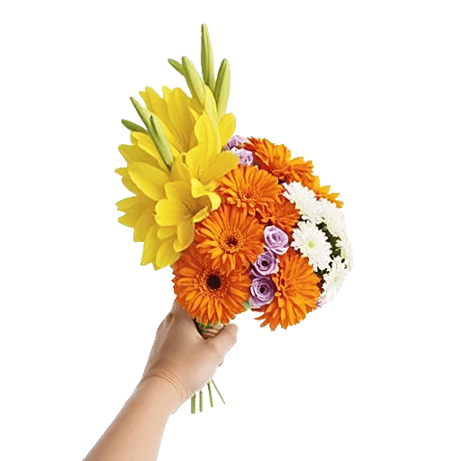 Blossom Harmony Display