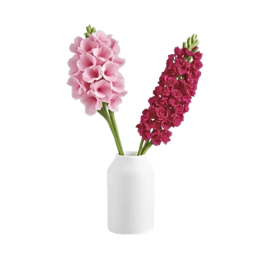 Blossom Grace Spread