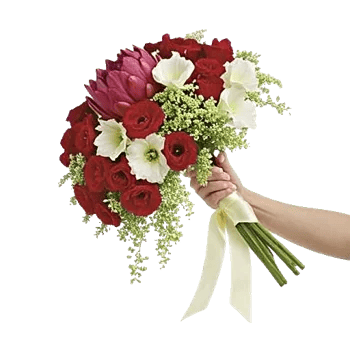 Delicate Petal Cascade