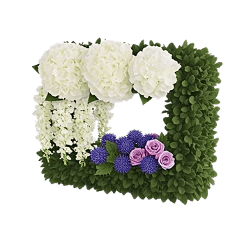Ivory Blossom Radiance