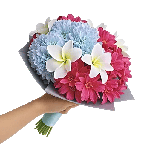 Serene Petal Harmony