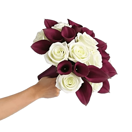 Elegant Calla Lilies