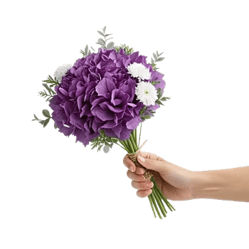 Serene Petal Harmony