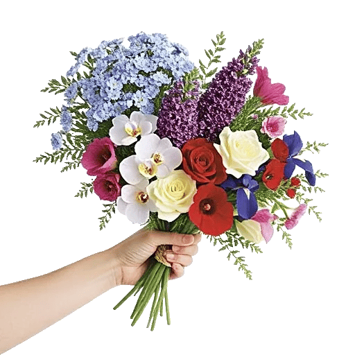 Serene Petal Harmony