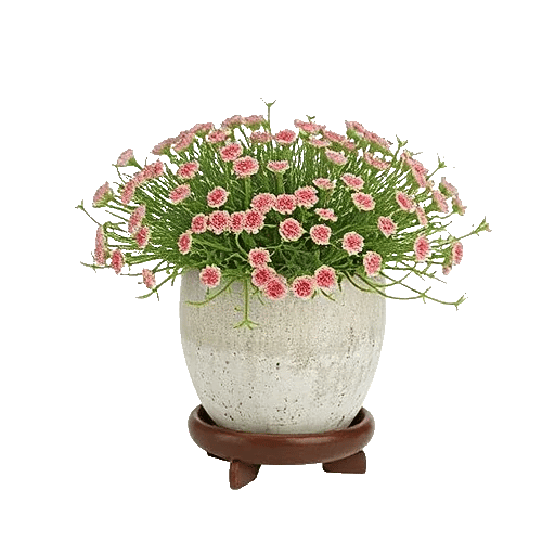 Blush Romantic Centerpiece