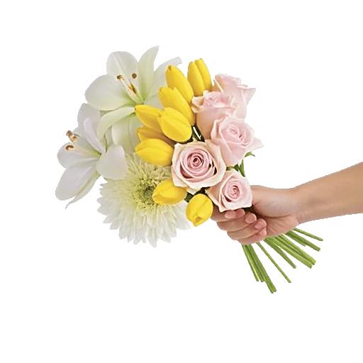 Minimalist White Orchids