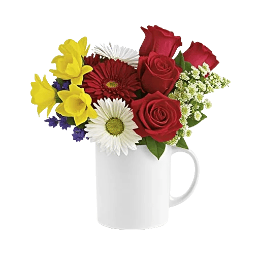 Velvet Tulip Display