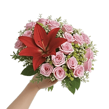 Blushing Rose Symphony
