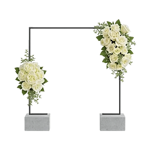 Modern White Orchids