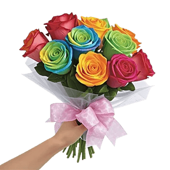Radiant Rose Symphony