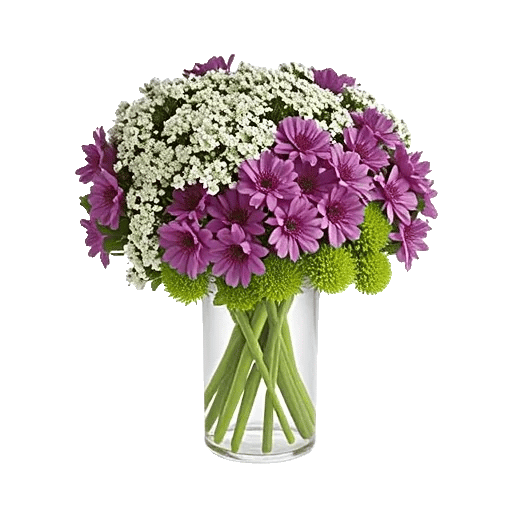 Ivory Blossom Radiance